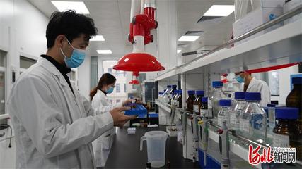 邯郸市科技特派团赋能生物科技“小巨人” 以创新研发驱动产业大能量