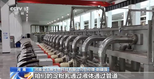 从‘农头’到‘工尾’ 解析玉米丰收背后的漫长产业链与生物科技新篇章